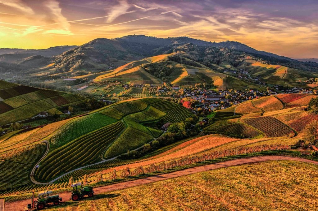 brown and green mountain view photo