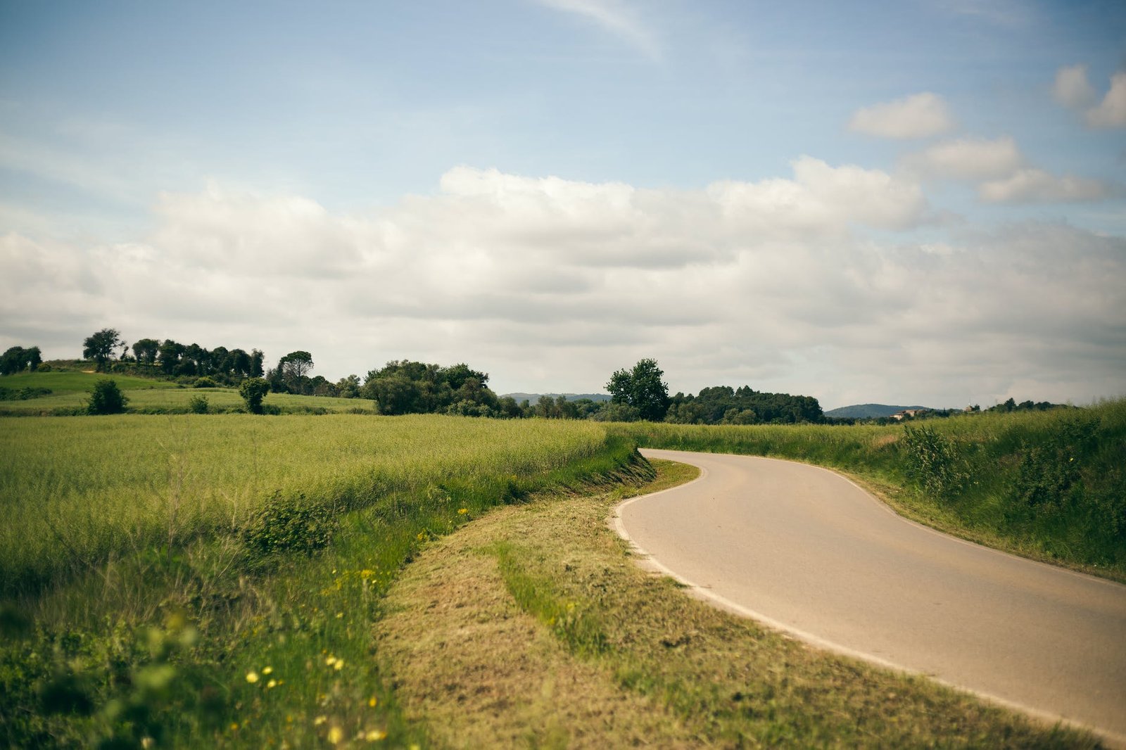 road landscape sunset field