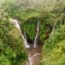 waterfalls in the middle of a rain forest