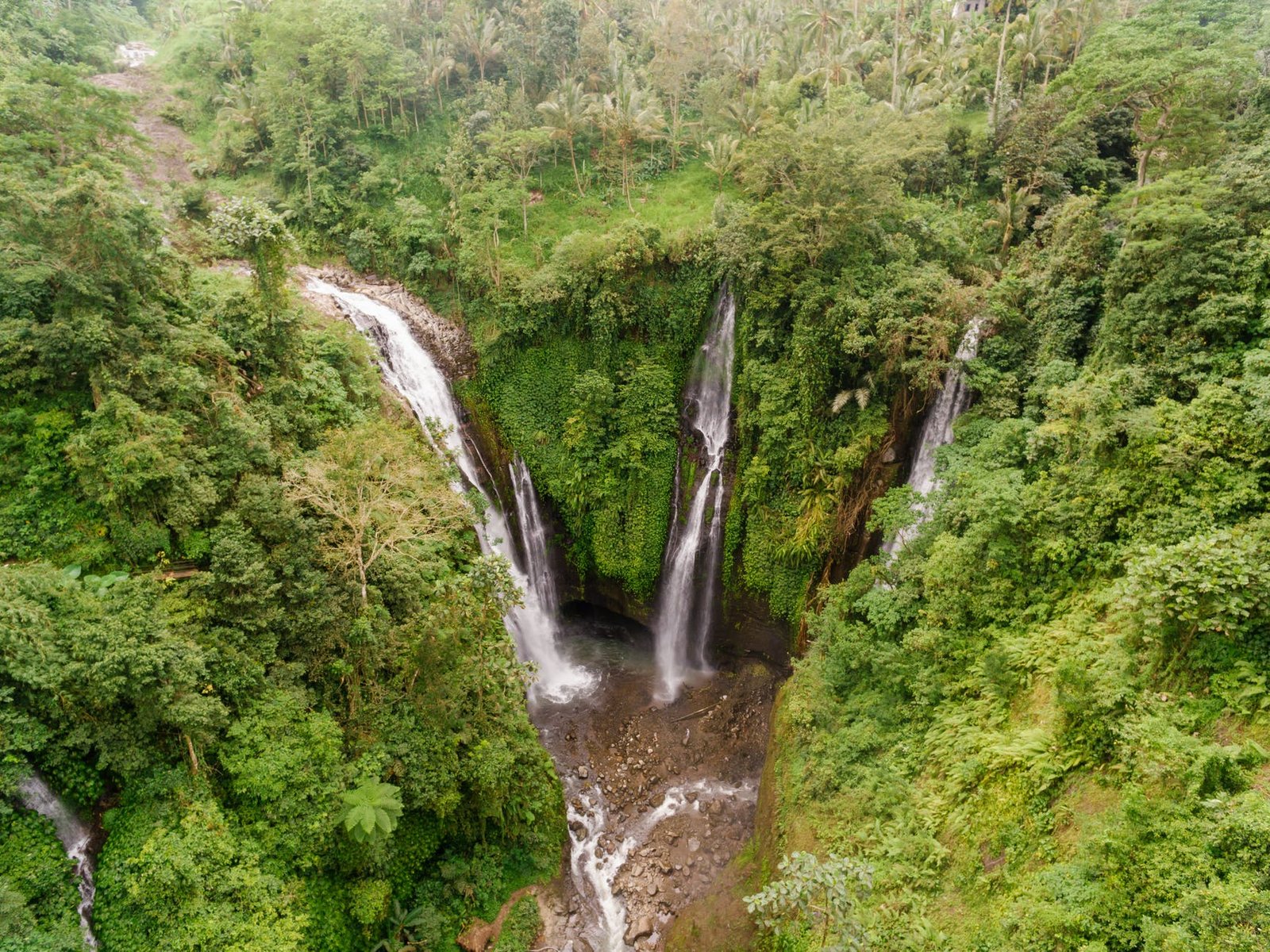 waterfalls in the middle of a rain forest