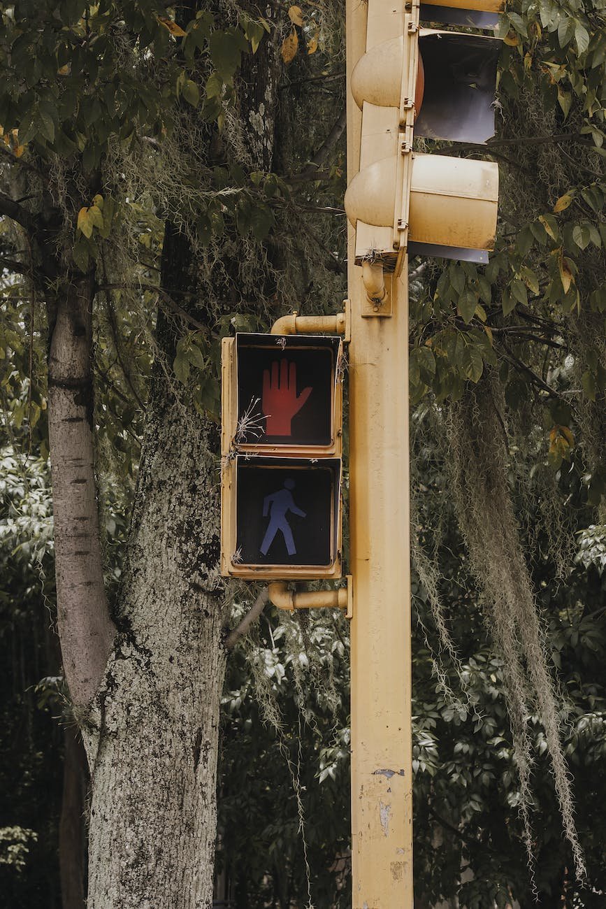 yellow and black traffic light