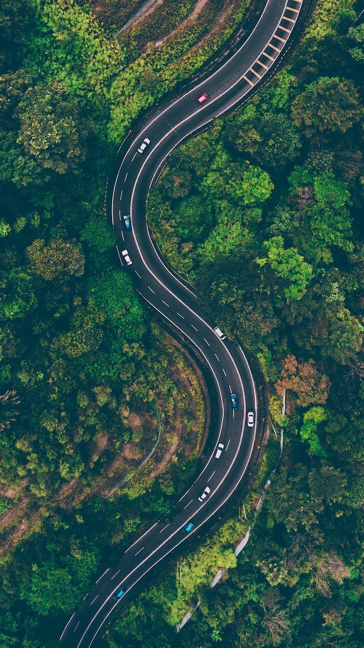 aerial view of road in the middle of trees