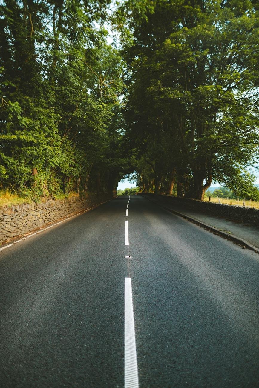 empty road between trees